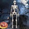 3 FT Halloween Skeleton - 36”Tall Full Body Halloween Skeleton with Movable Joints for Haunted House Graveyard Indoor and Outdoor Decor/Halloween Decoration